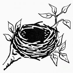 Simple Bird Nest