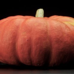 Halloween Pumpkin Stew