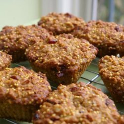 Sugar-Free Cinnamon Raisin Muffins