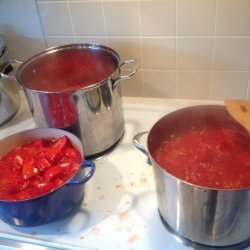 Seasoned Tomato Sauce