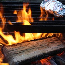 Campfire Steaks