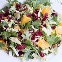 Cranberry-Orange Salad