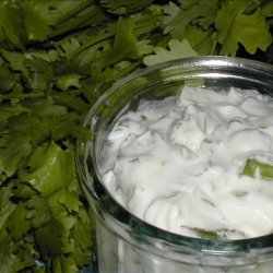 Coriander/Cilantro Yoghurt (Very Easy Side Dish)