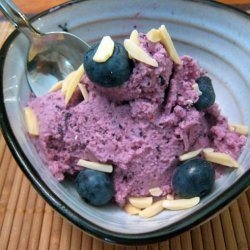Blueberry Sour Cream Ice Cream (Low Fat, No Added Sugar)