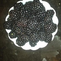 Frozen Blackberry Mousse