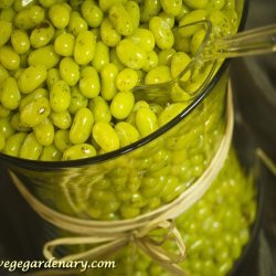 Tropical Green Beans