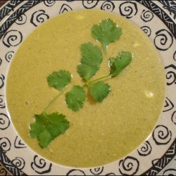 Creamy Coriander / Cilantro Soup