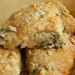 Cheese and Basil Giant Scones