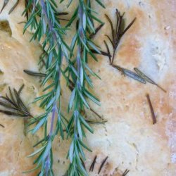 Focaccia & Rosemary are going steady!