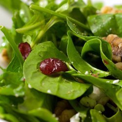 Spinach Salad With Cranberries and Walnuts