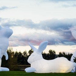Bunnies on the Lawn