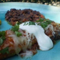 Tomato Sauced Enchiladas With Sour Cream and Aged Cheese