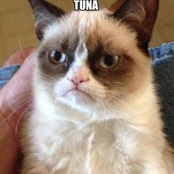 Smelly Tuna