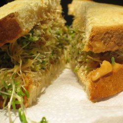 Sprouts & Hummus Sandwich