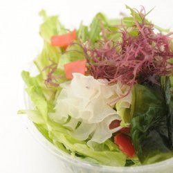 Kaisou Salada