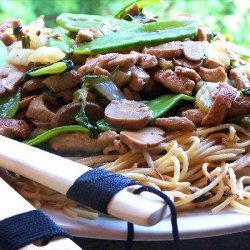 Chow Mein With Shrimp and Pork