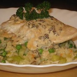 Sea Perch on a Bed of Risotto With a Morel Sauce