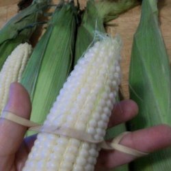Threading Corn on the Cob