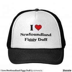 Newfoundland Figgy Duff