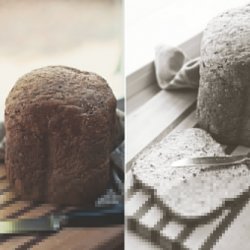 Whole Wheat Bread in Bread Machine