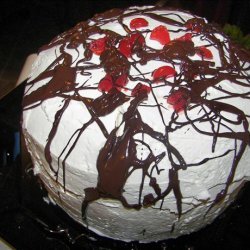 Black Forest Delight Cake