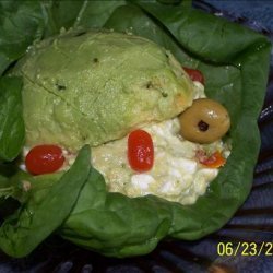 Turtle Shell Salad