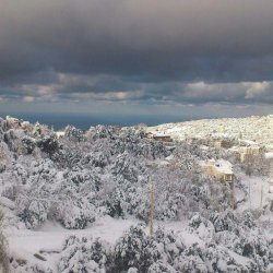 Lebanese Snow