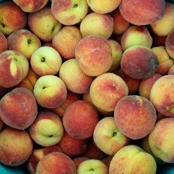 Ginger-Spiced Peaches