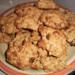 Double Oat Breakfast Cookies