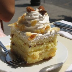 Vanilla Custard Sponge Cake