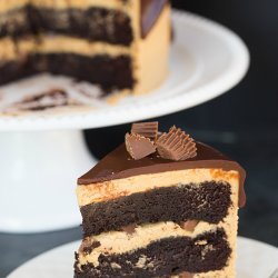 Chocolate Cake-Peanut Butter Cups