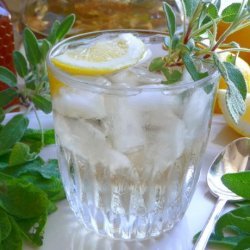 Pineapple Sage Tea - Hot or Iced