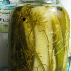 Classic Dill Pickles (Refrigerator)