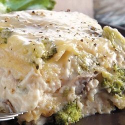 Broccoli  Lasagna