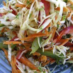 Sweet-And-Sour Coleslaw