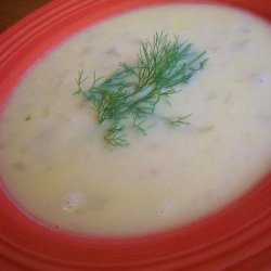 Cream of Fennel Soup