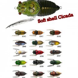 Soft-Shelled Cicadas