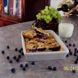 Low Fat Sugarless Blueberry Squares