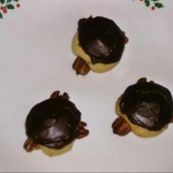 Turtle Cookies