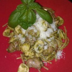 Orecchiette With Pesto, Broad Beans and Italian Sausage