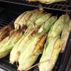 Corn on the Cob in Husk
