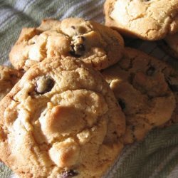 Chocolate Chip Cookies #10