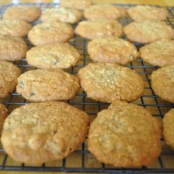 Fruit and Nut Cookies