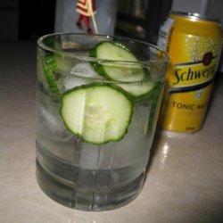 Cucumber Gin and Tonic