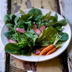 Radish and Carrot Salad
