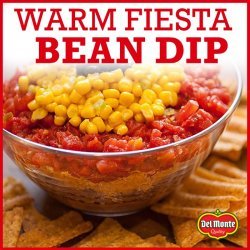 Warm Fiesta Bean Dip
