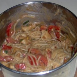 Vermicelli With Chicken in Peanut Sauce