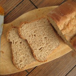 Whole Wheat  Bread
