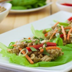 Asian-Style Chicken Wraps