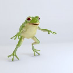 Frog in a Blender